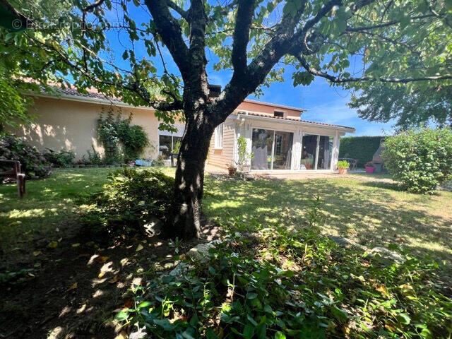 Autre à LA TESTE-DE-BUCH