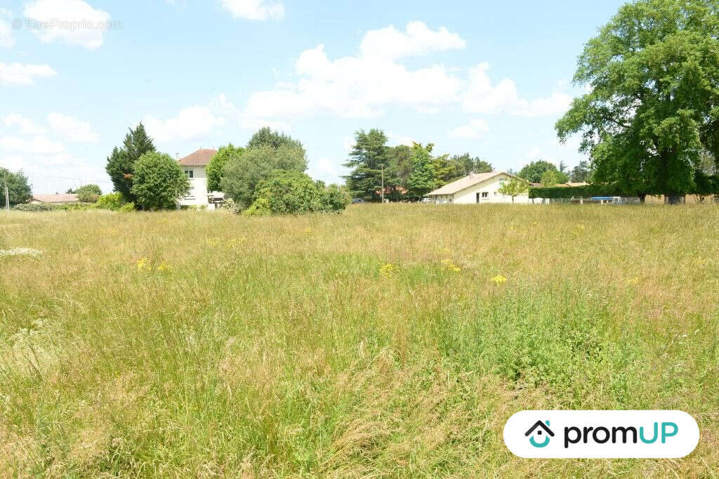 Terrain à SAINTE-LIVRADE-SUR-LOT