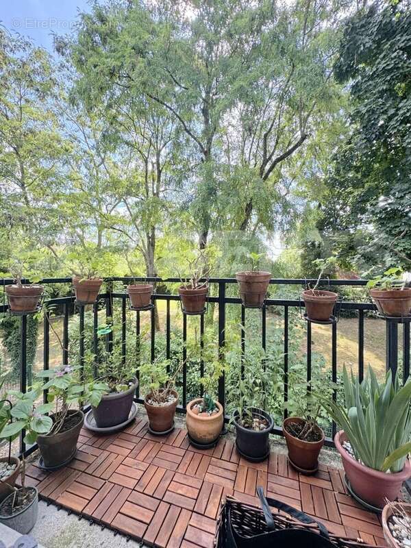 image00018_DxO - Appartement à COULOMMIERS