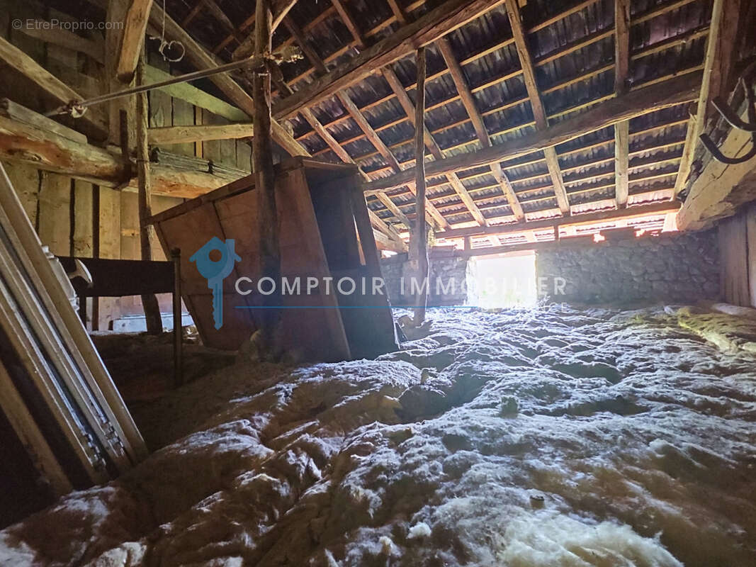 DPT (38) - A VENDRE - Maison de village - Bernin centre - photo 12
