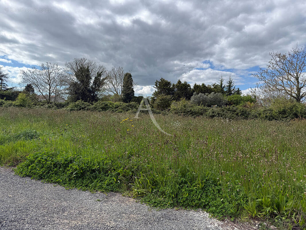 Terrain à LA JONCHERE