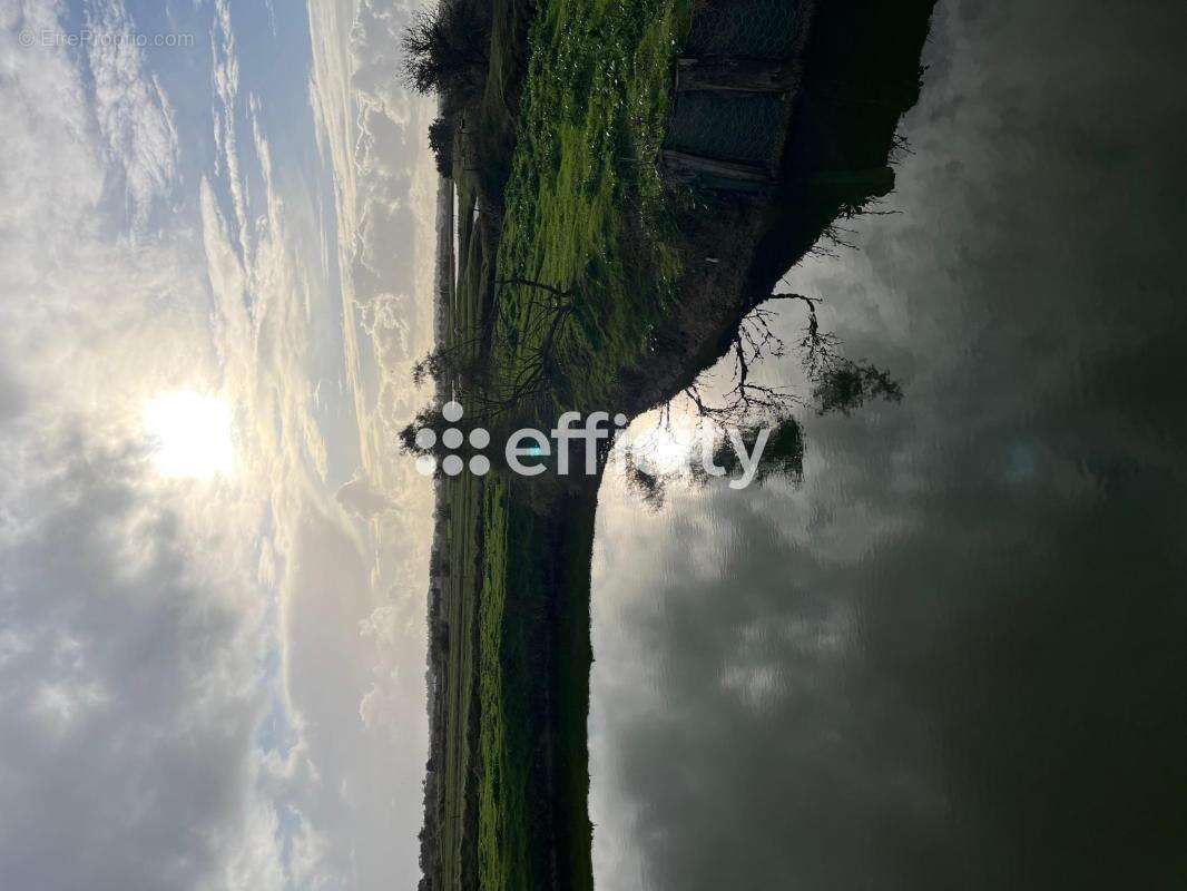 Terrain à L&#039;ILE-D&#039;OLONNE