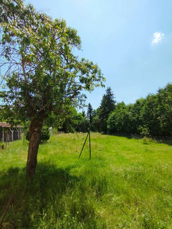 Maison à NEUVILLER-LES-BADONVILLER