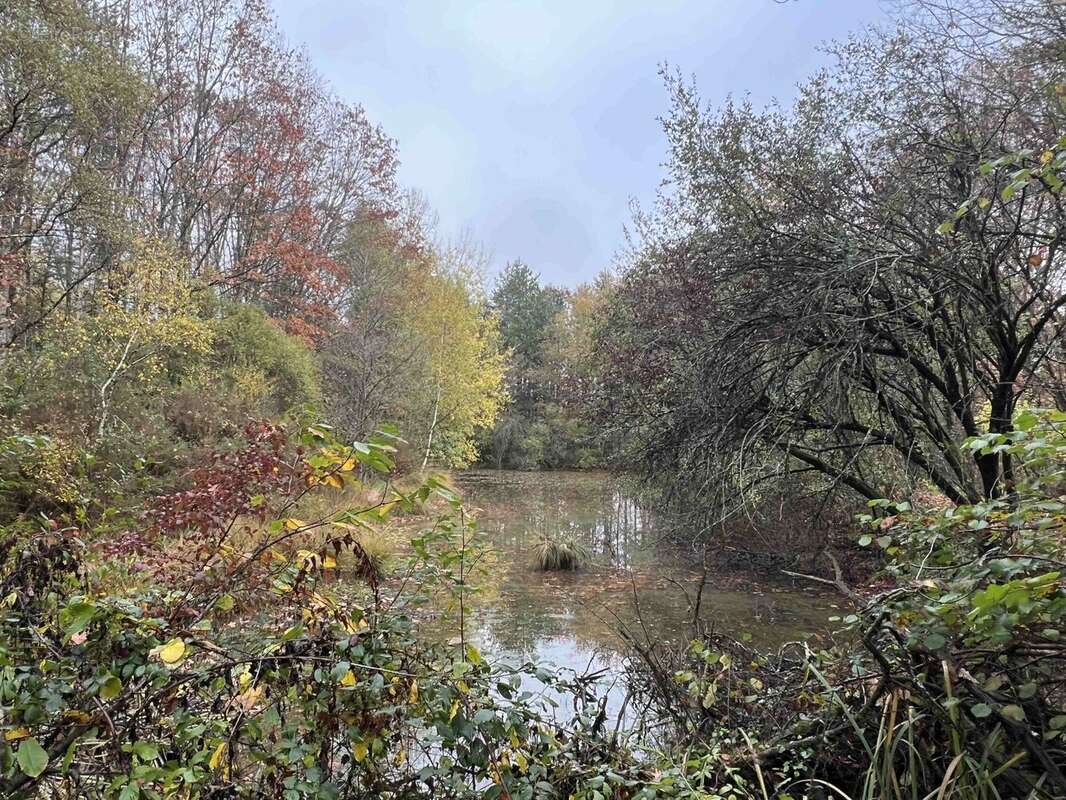 Terrain à CONFOLENS