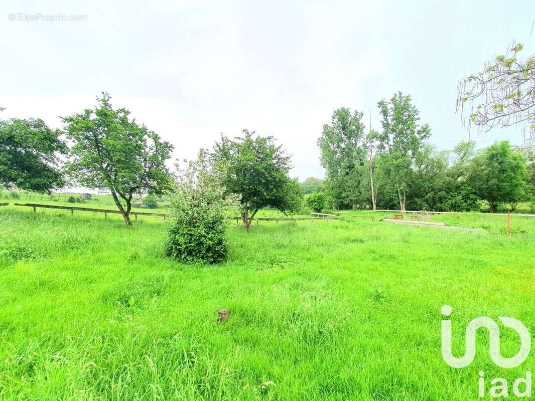 Maison 262 m² à Gevigney-Et-Mercey  - photo 4