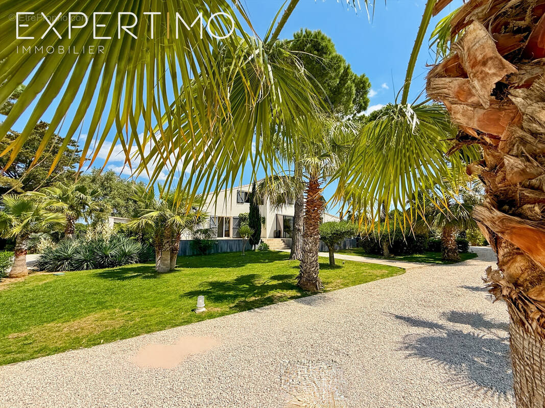 Maison à MONTPELLIER