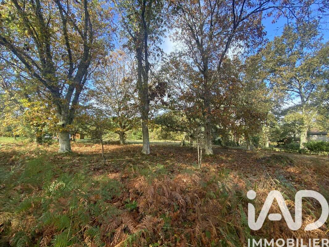 Photo 3 - Terrain à MEZOS