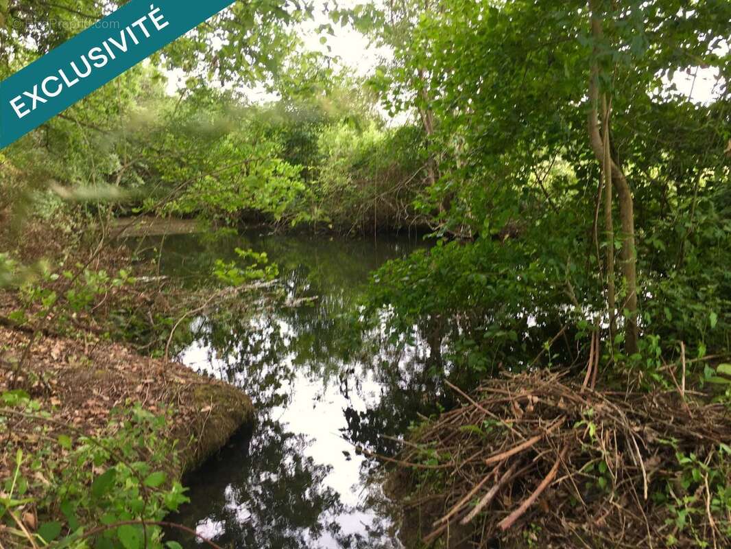 Photo 9 - Terrain à SAINT-MEARD-DE-GURCON