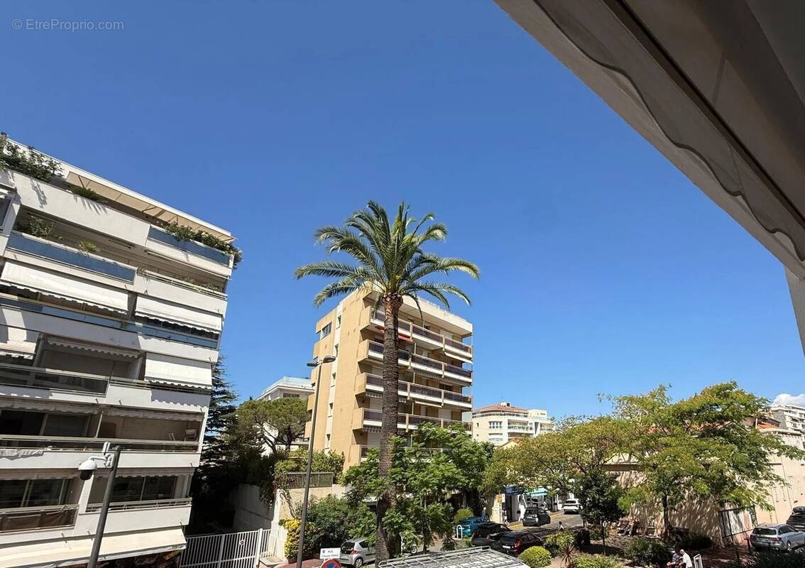 Palm. beach - bel appartement terrasse - photo 14