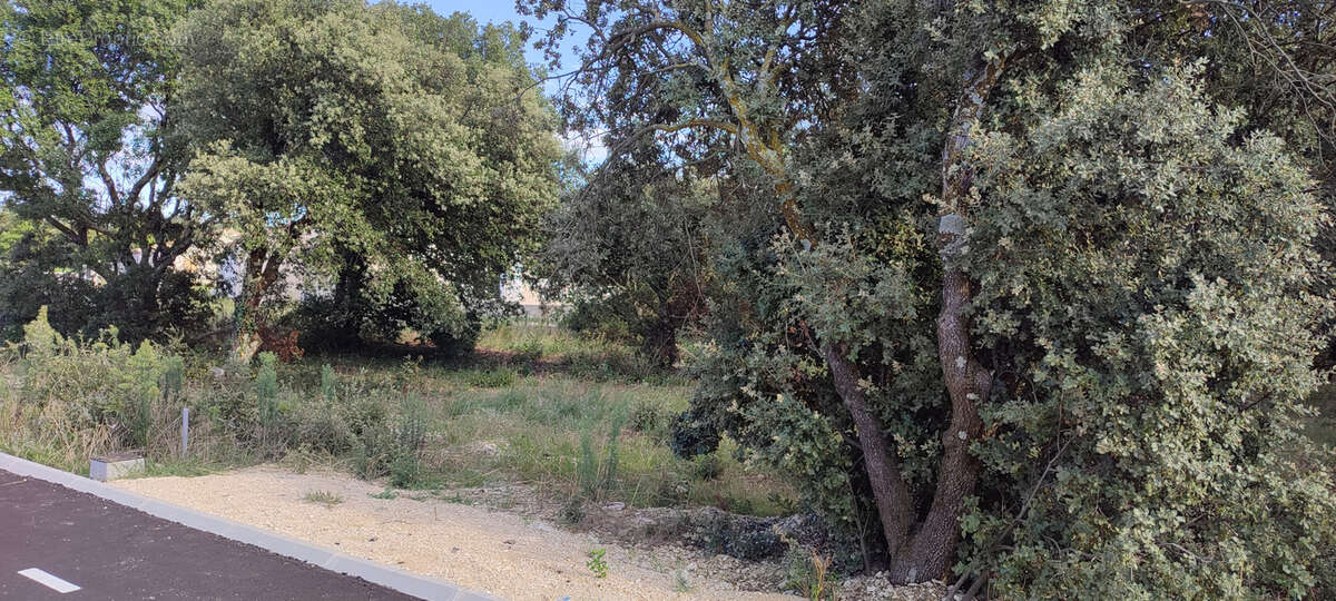 Terrain à LA BAUME-DE-TRANSIT