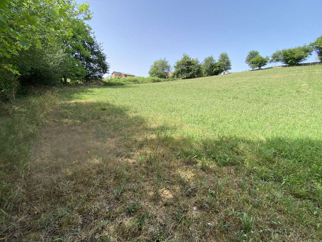 Terrain à SAUVELADE