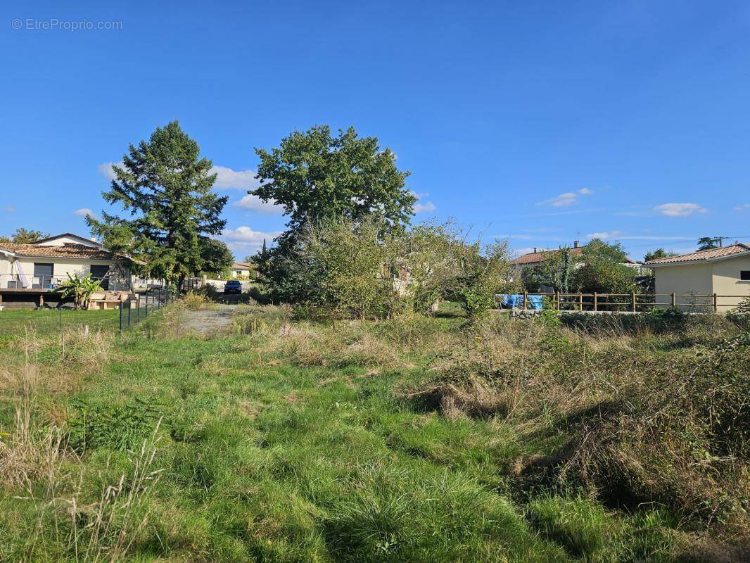 Terrain à MARTILLAC