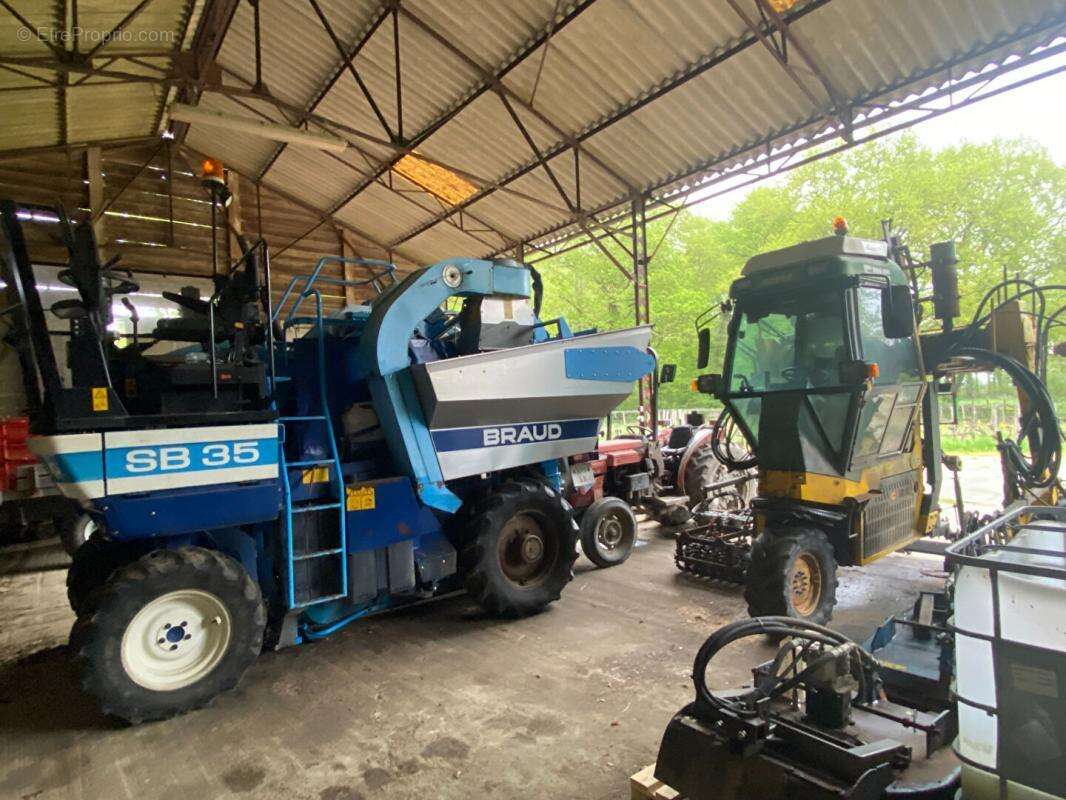 Maison à SAINT-MAGNE-DE-CASTILLON