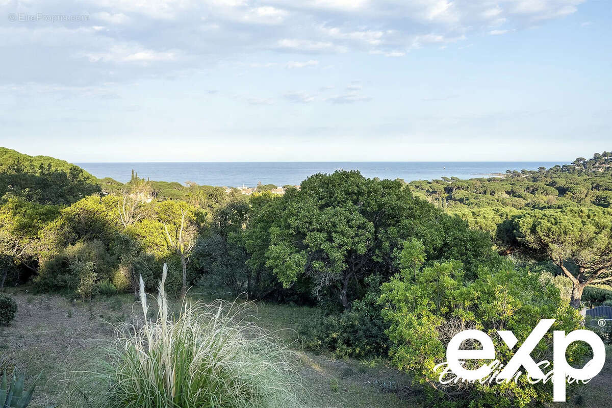 Terrain à SAINTE-MAXIME