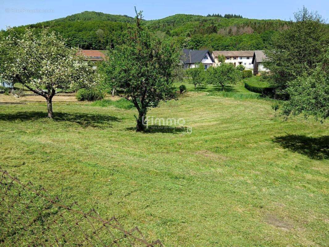 Terrain à bâtir 10ares plein sud à Sickert (68290) - photo 3