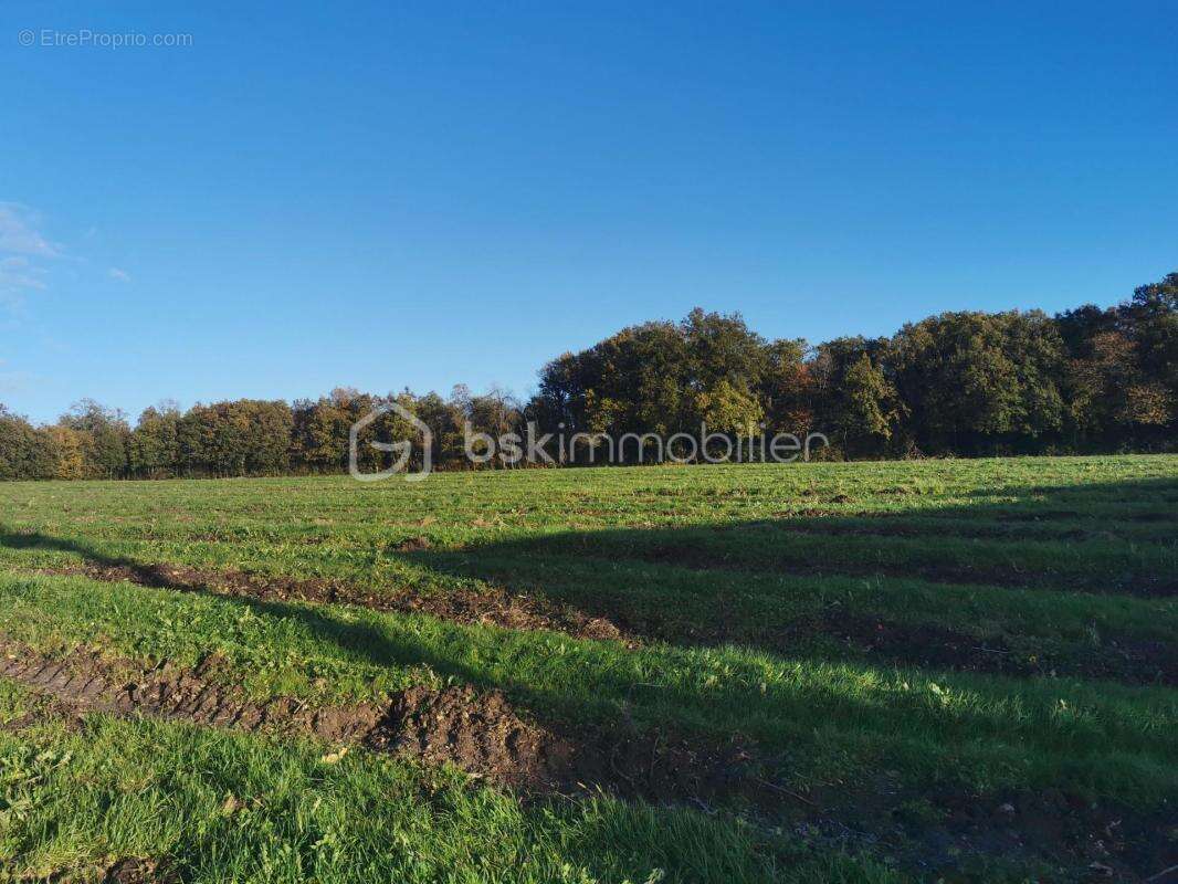 Maison à EXPIREMONT