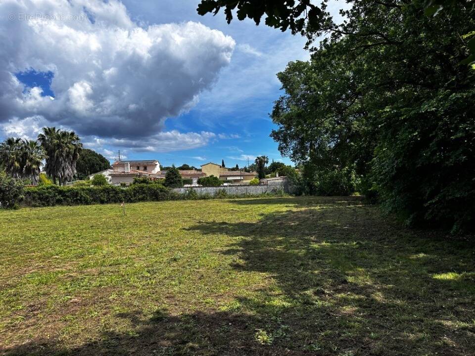 Photo Terrain à Puget-Sur-Argens au prix de 229 000€