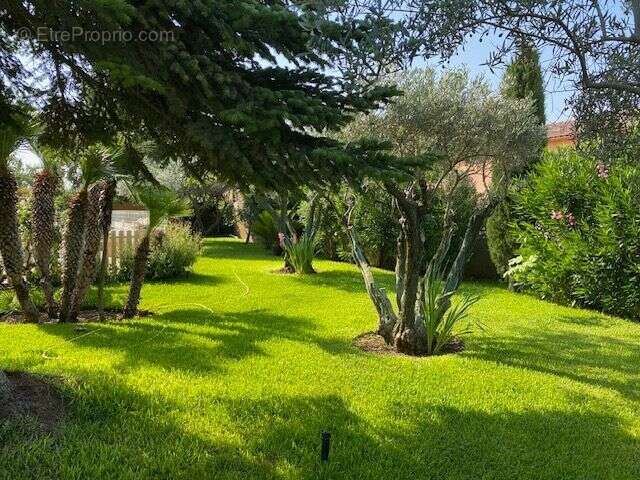 Villa familiale type 7 avec piscine - garage - jardin arbore - photo 5