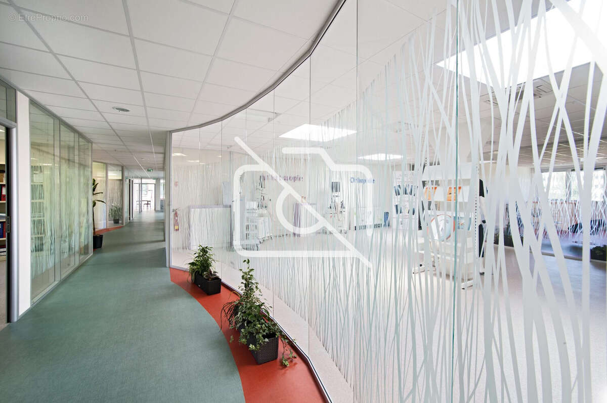 Commerce à RIS-ORANGIS