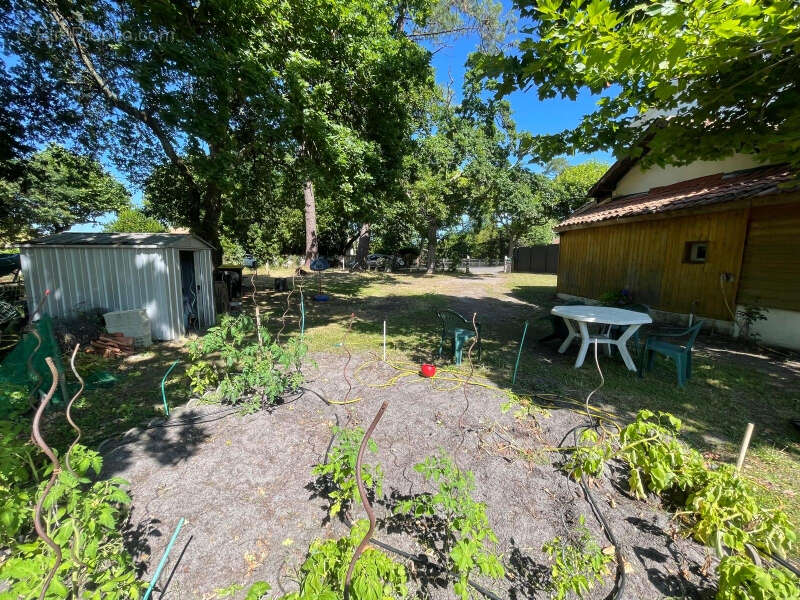 Terrain à ANDERNOS-LES-BAINS