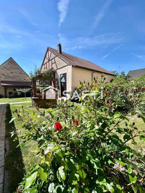 Maison 174 m² à Bissert  - photo 4