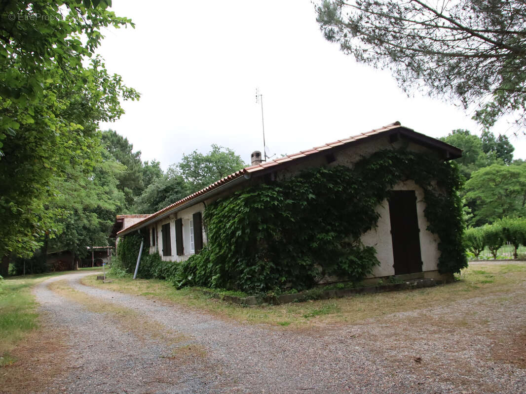 Propriété comprenant 2 habitations et terrain de plus 8 hectares - photo 8