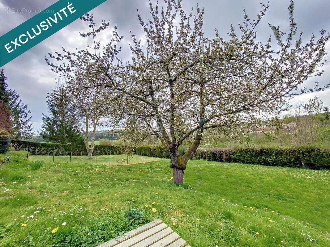 Photo 4 - Maison à BORNEL