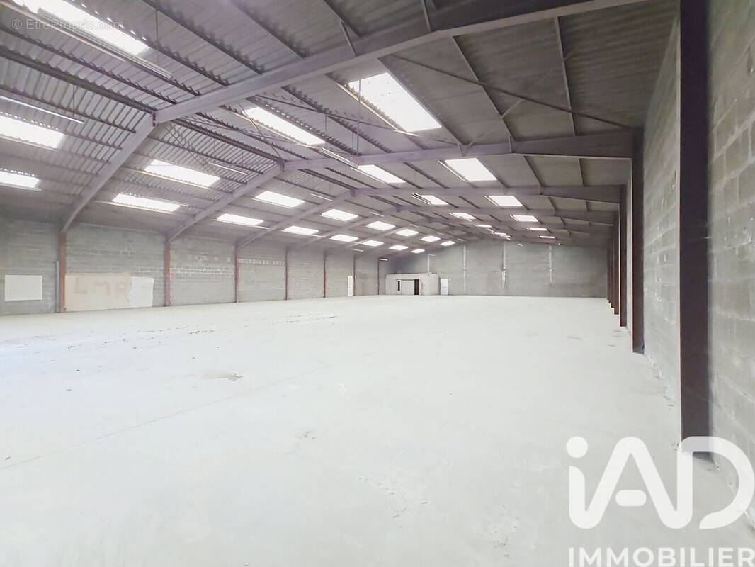 Photo 1 - Appartement à MOZE-SUR-LOUET