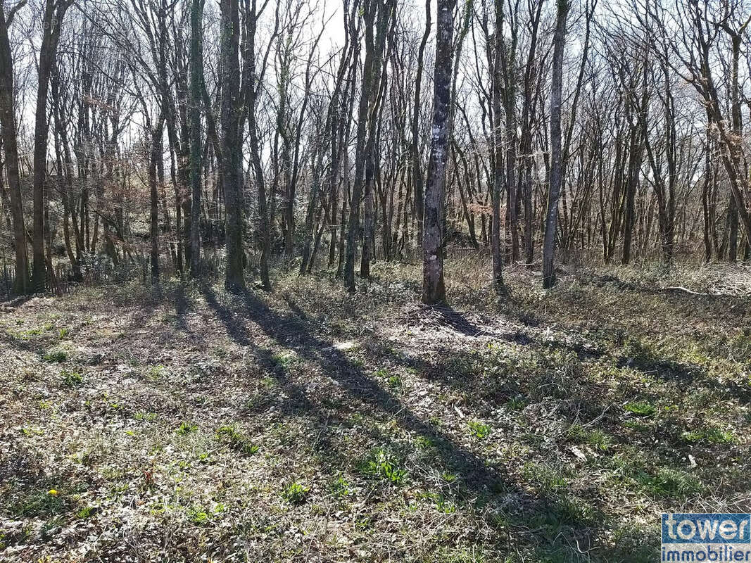 Terrain à PRANZAC
