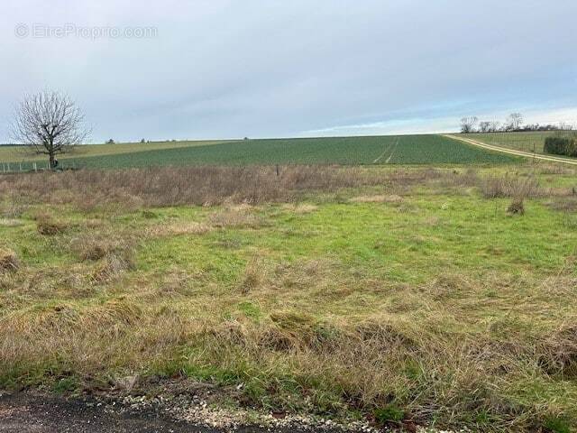 Terrain à TROYES