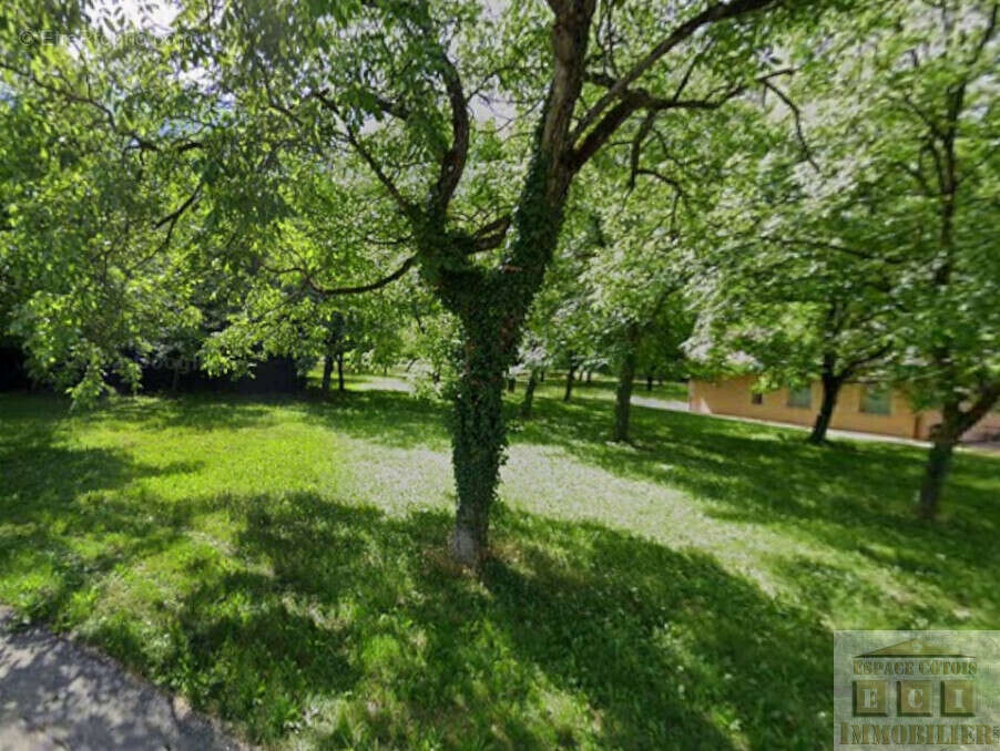 Terrain à LA RIVIERE