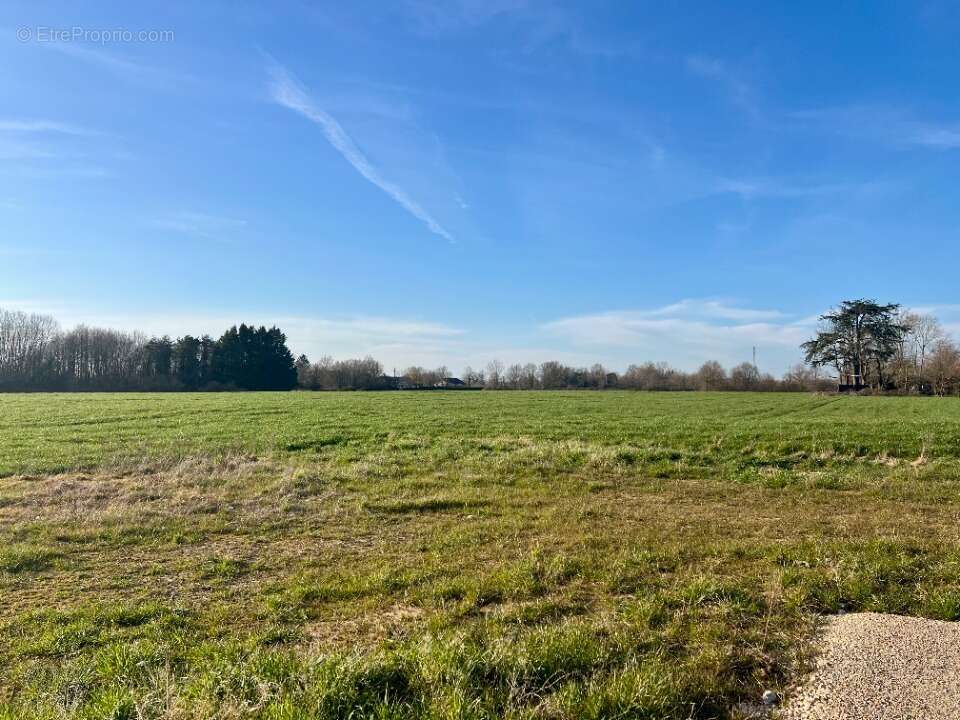 Terrain à SAINT-DENIS-LES-BOURG
