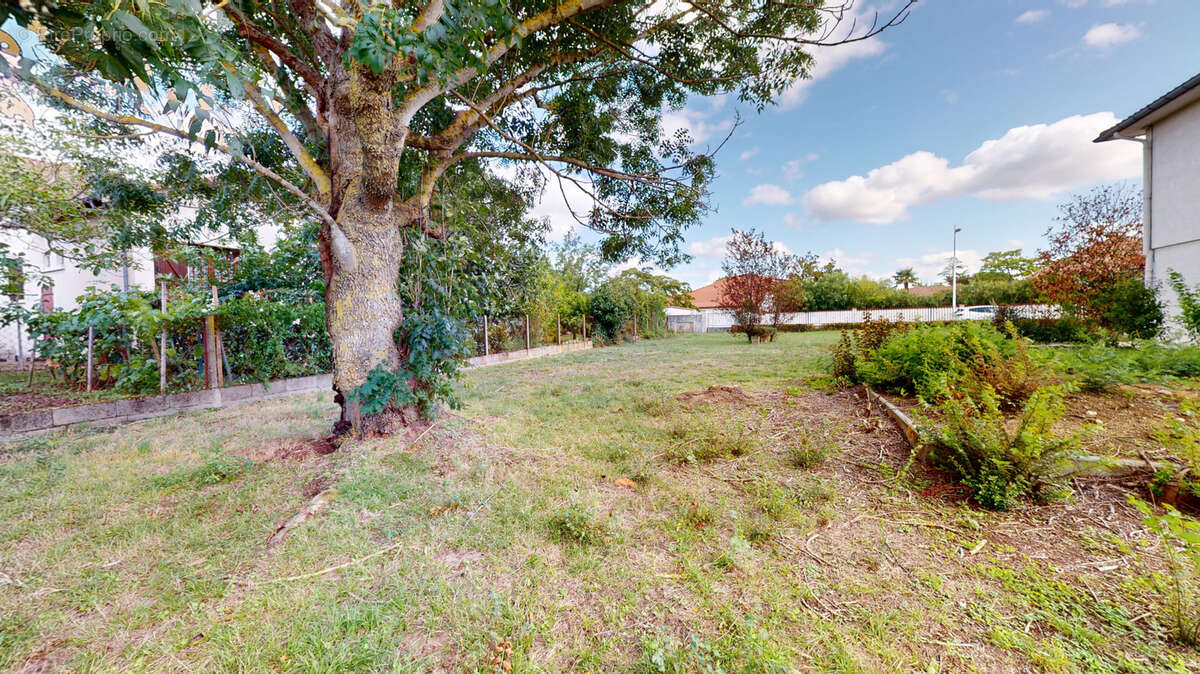 Terrain à LA SALVETAT-SAINT-GILLES