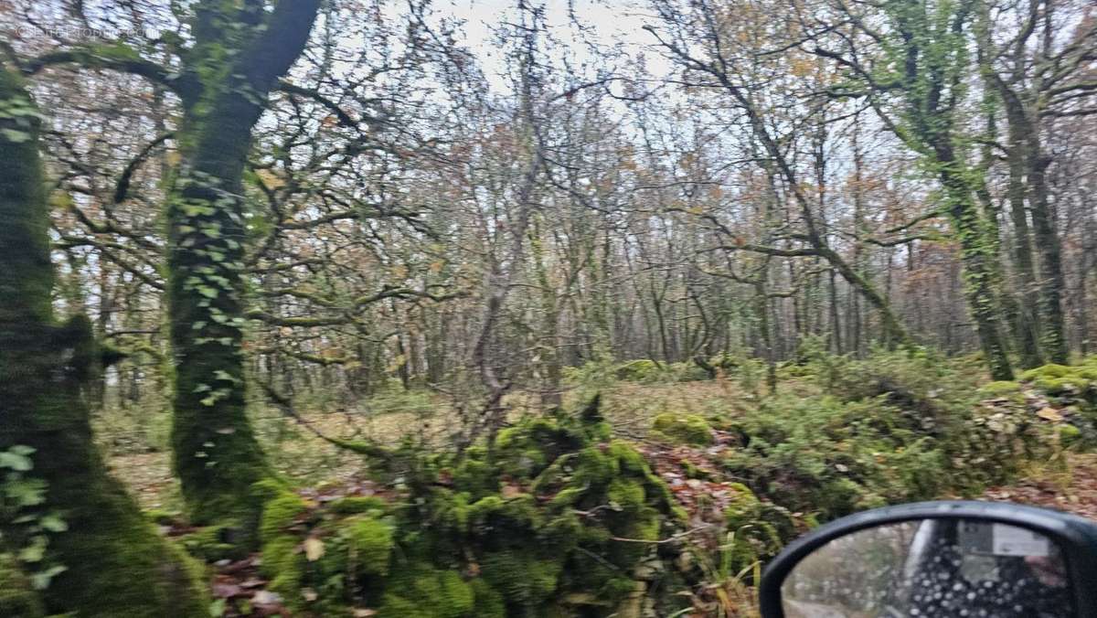 Terrain à FENEYROLS