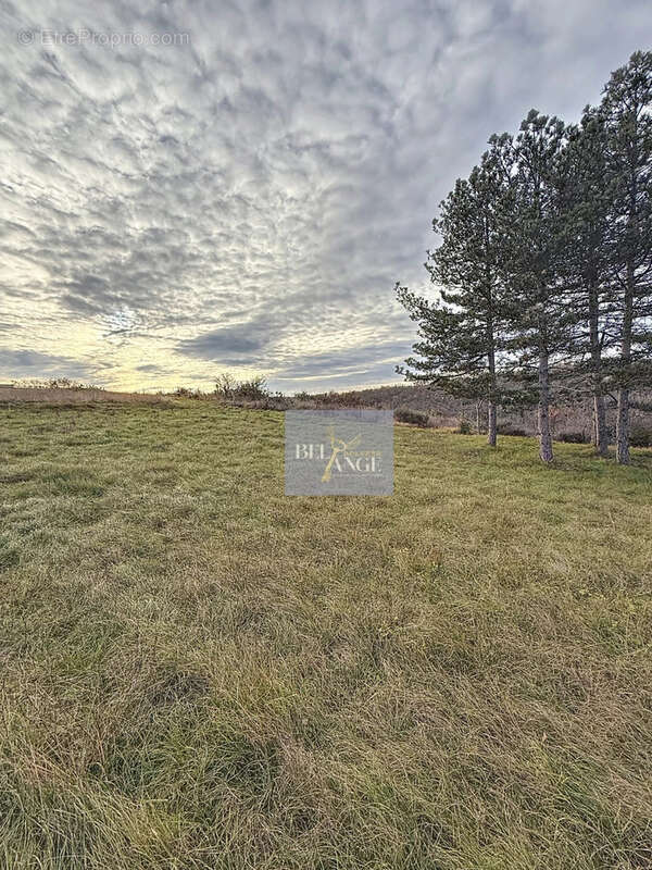 Terrain à LAVILLEDIEU