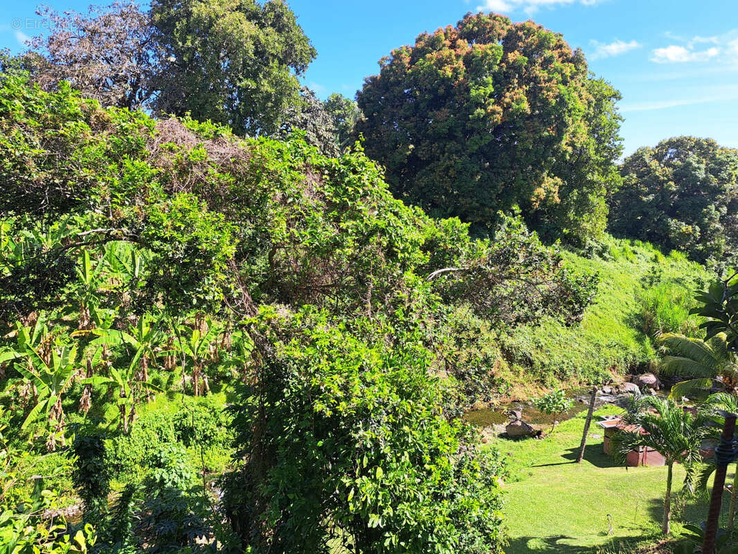 Maison à CAPESTERRE-BELLE-EAU