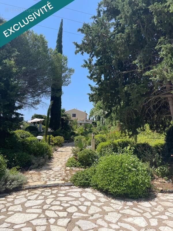 Photo 1 - Maison à ALIGNAN-DU-VENT