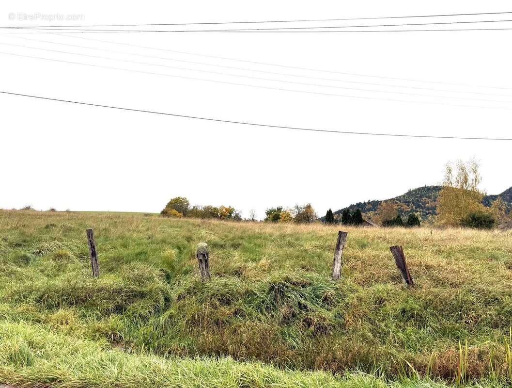 Terrain à SAINT-DIE-DES-VOSGES