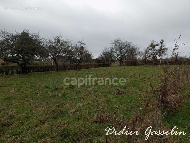 Terrain à vendre  saint hilaire sur erre (61) - photo 3