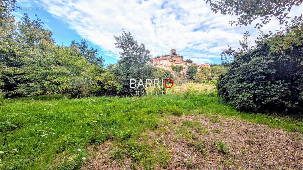 Terrain à LAROQUE-DES-ALBERES