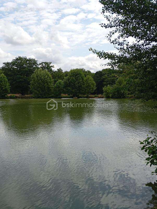A saisir terrain de loisir aménagé avec son plan d'eau - photo 5