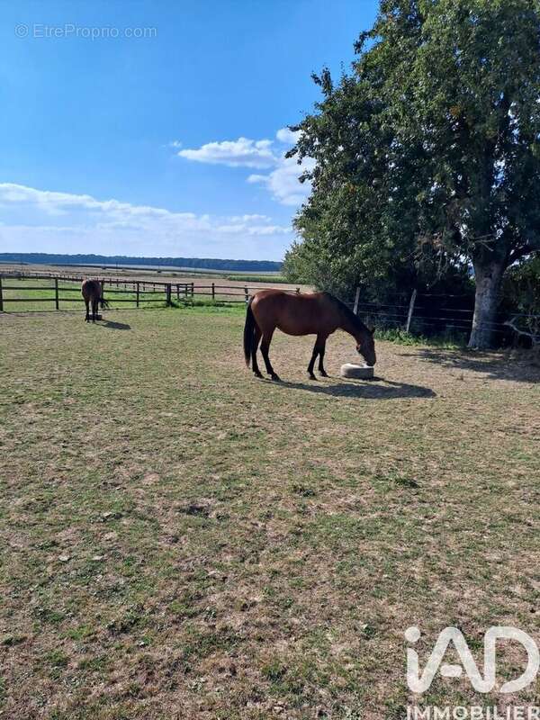 Photo 7 - Maison à CHENOISE