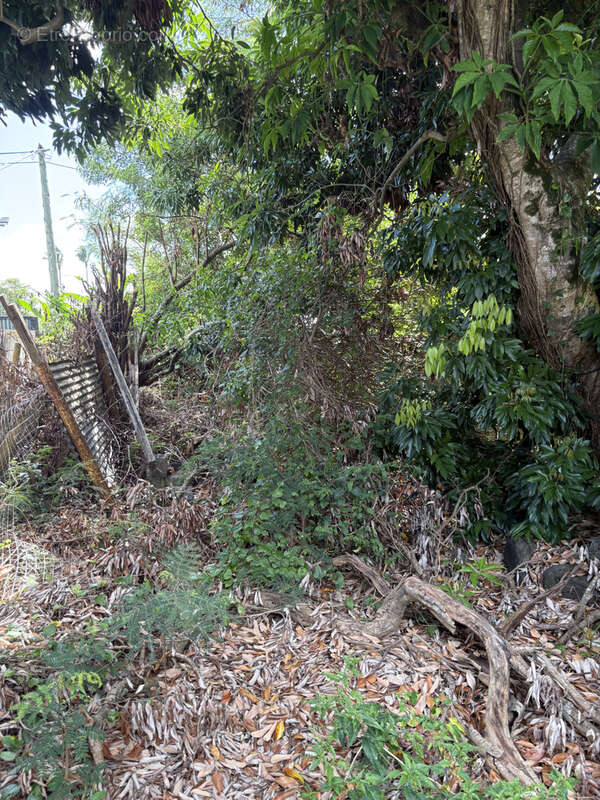 Terrain à SAINTE-SUZANNE