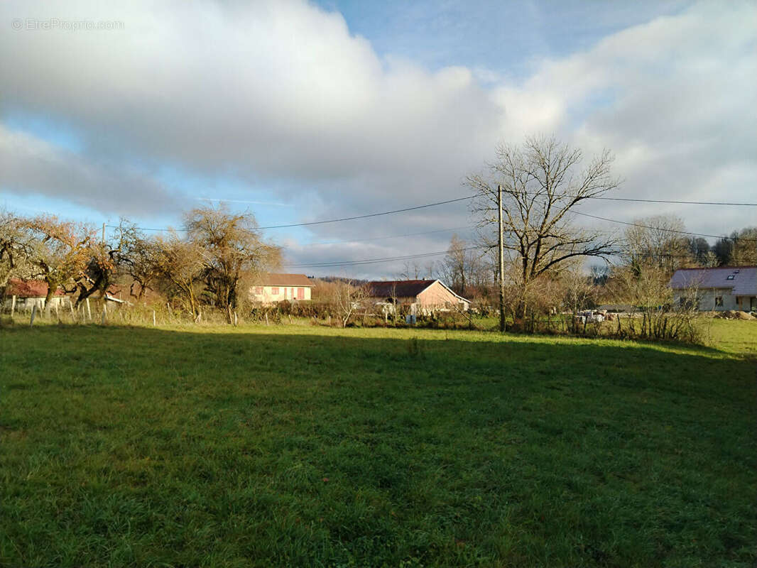 Terrain à SAINTE-ANNE