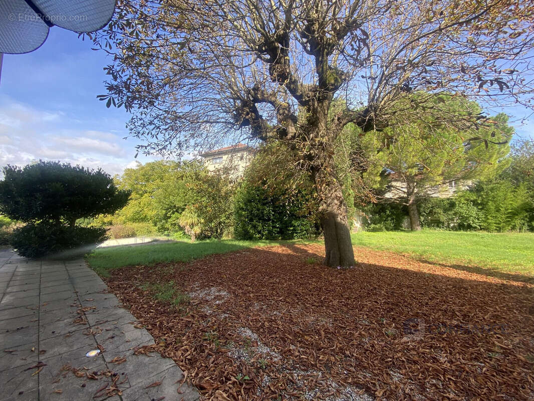 Maison à NEUVILLE-SUR-SAONE