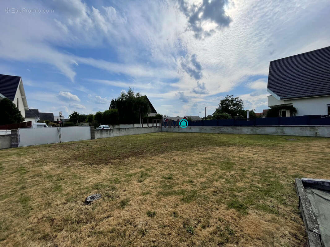 Terrain à HIRTZFELDEN