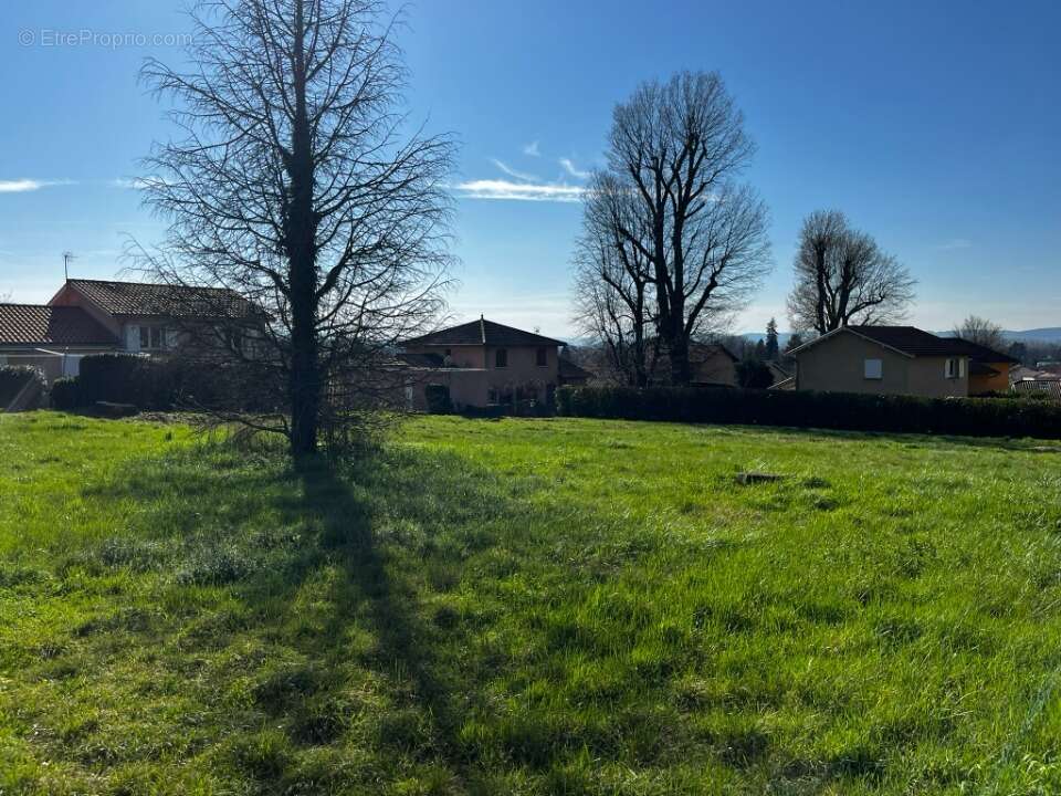 Terrain 400 m² à Parcieux  - photo 3