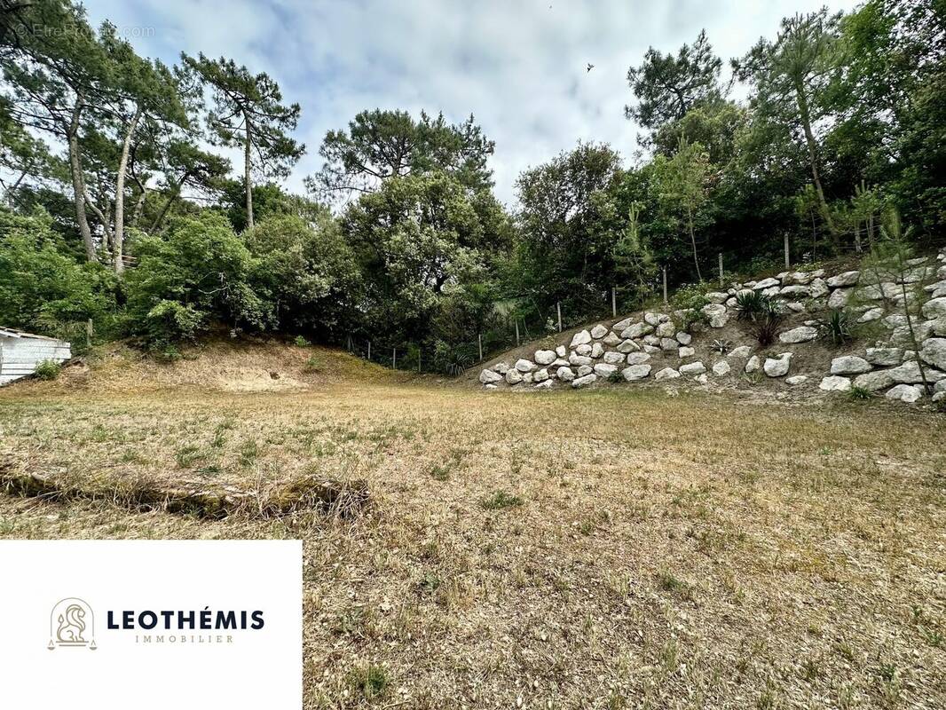 Terrain à LA TREMBLADE