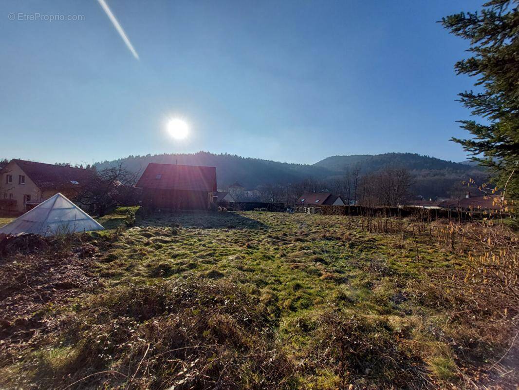 Terrain à LEPUIX