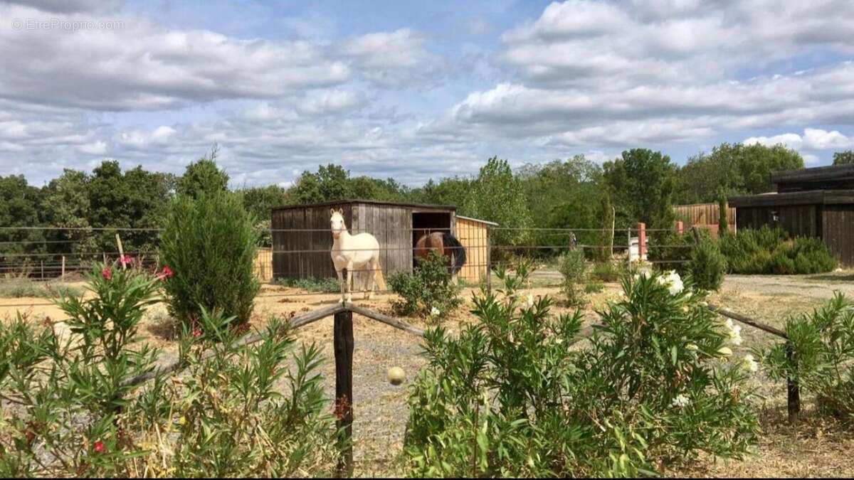 Photo 7 - Maison à BEZIERS
